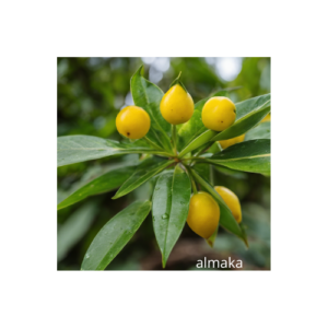 almaka